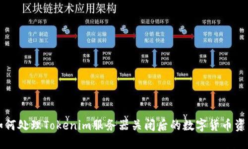 如何处理Tokenim服务器关闭后的数字货币资产