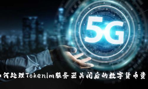 如何处理Tokenim服务器关闭后的数字货币资产