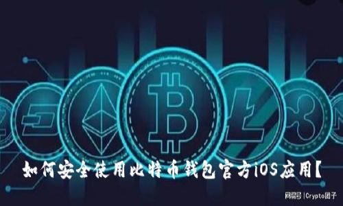如何安全使用比特币钱包官方iOS应用？
