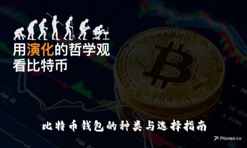 比特币钱包的种类与选择指南