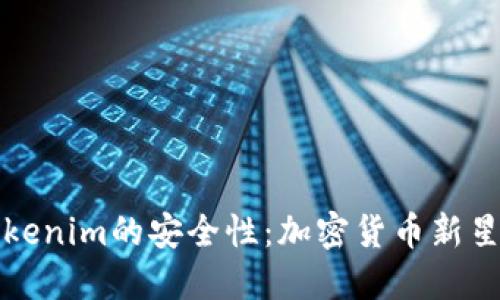 深入探讨Tokenim的安全性：加密货币新星的保障机制